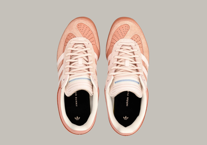 B-Bunny X Gazelle Indoor Cabo Rojo