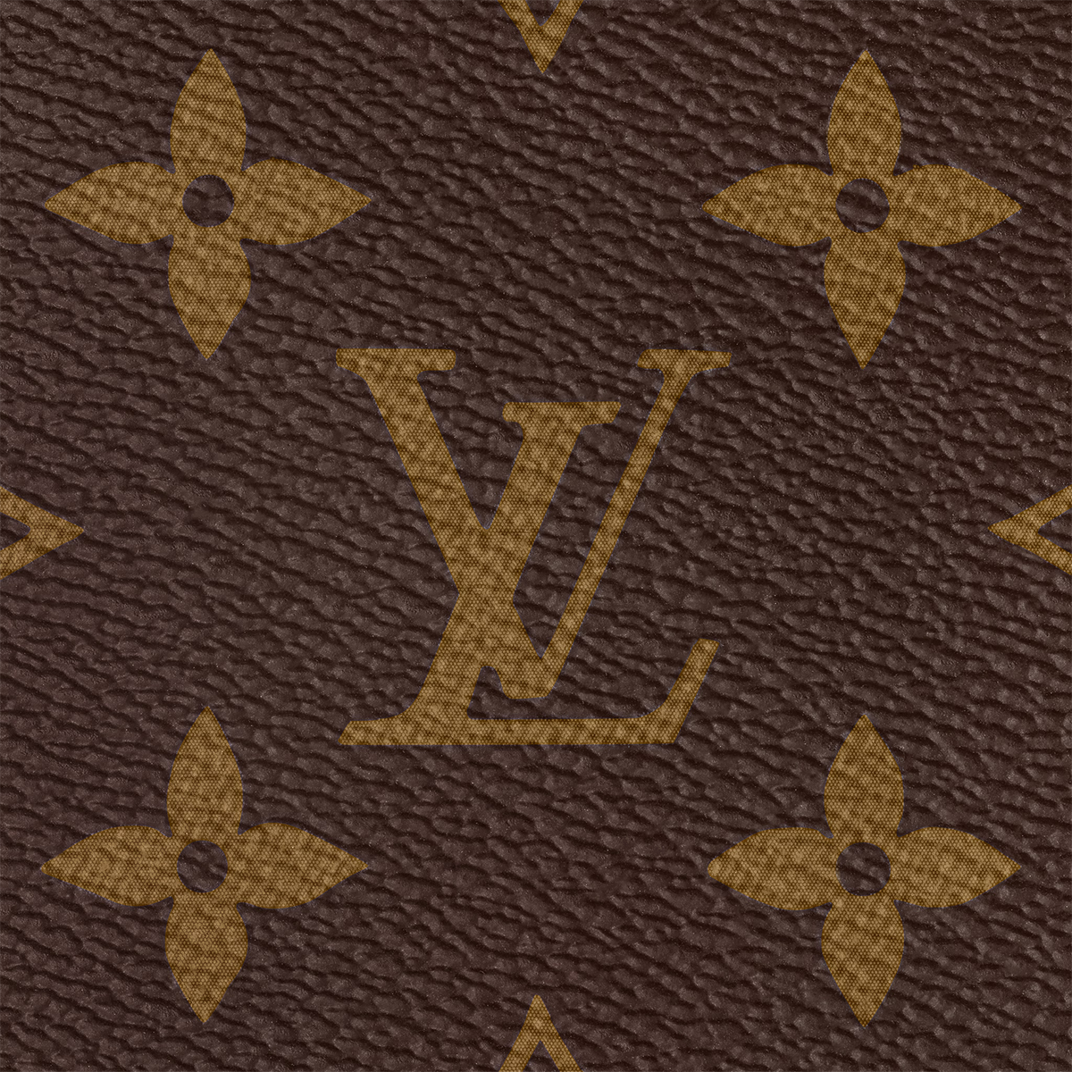 Multi Pochette Accessories
