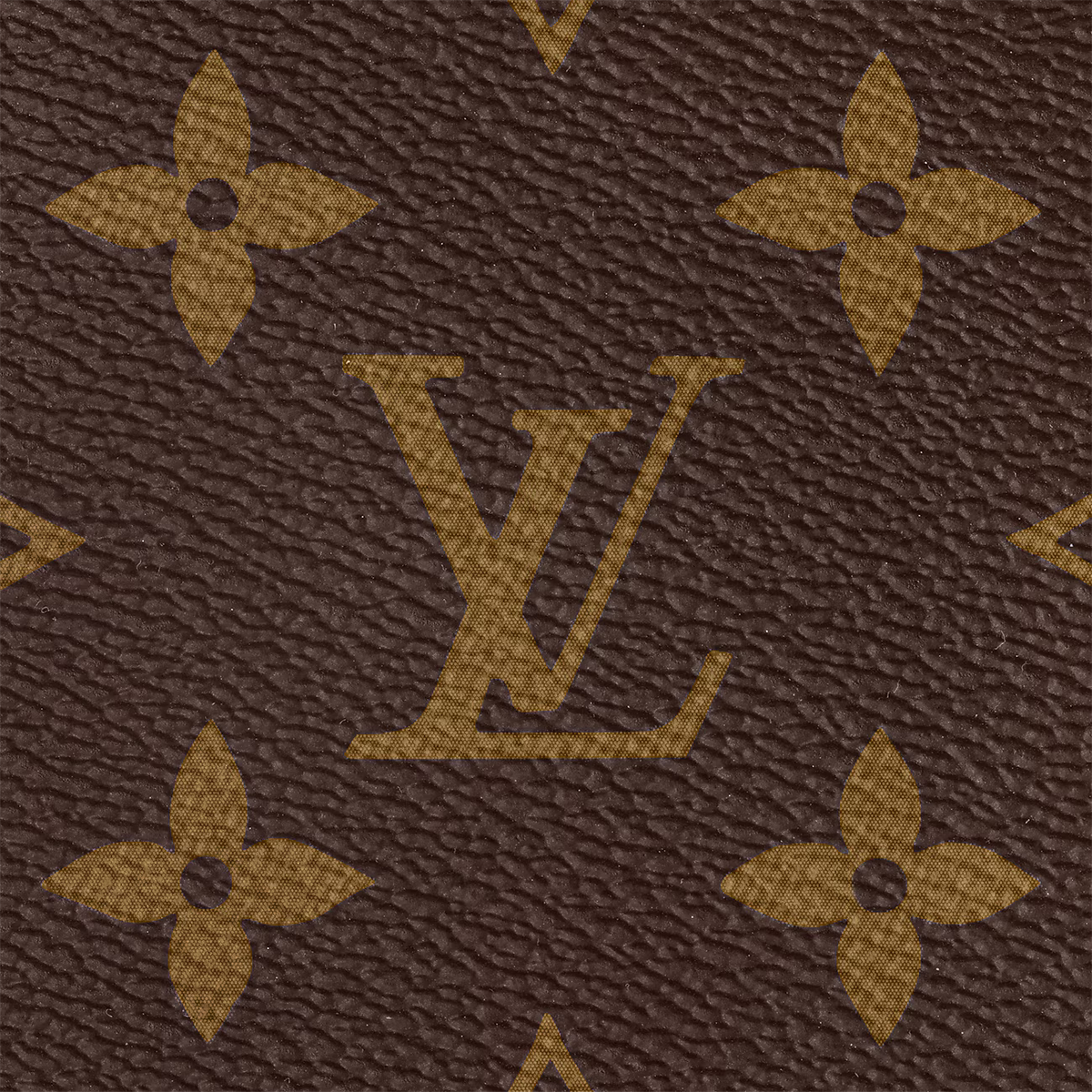 Multi Pochette Accessories